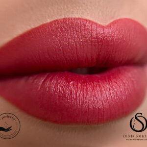 Labios Premium Lips